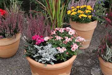 Gartenideen Muller Blumen Garten