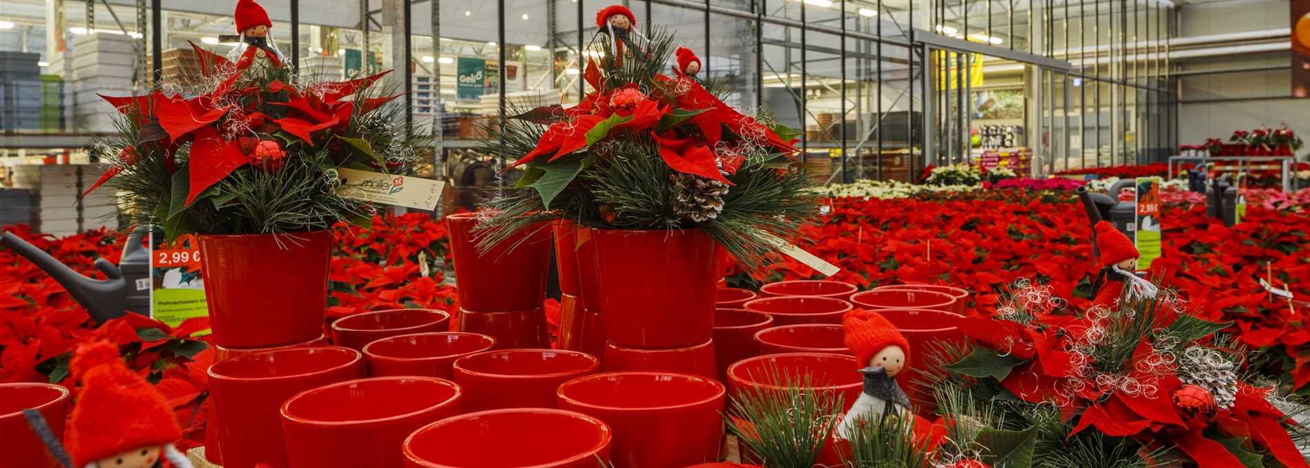 Müller Blumen & Garten