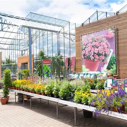 Gärtnerei Müller Blumen & Garten