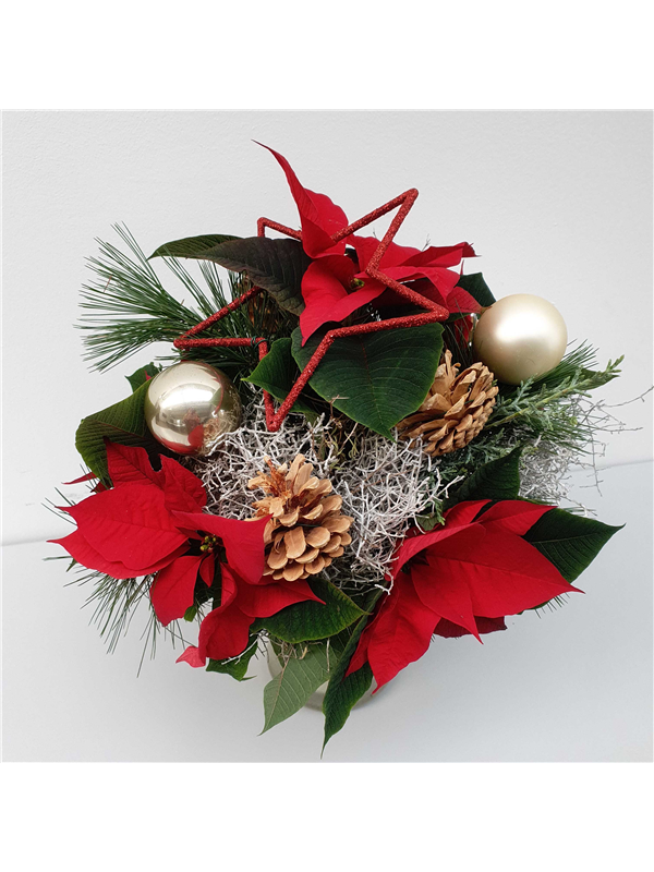 Vorbestellung , Blumenstrauß &amp;quot;Weihnachtsstern&amp;quot; - Müller Blumen &amp; Garten