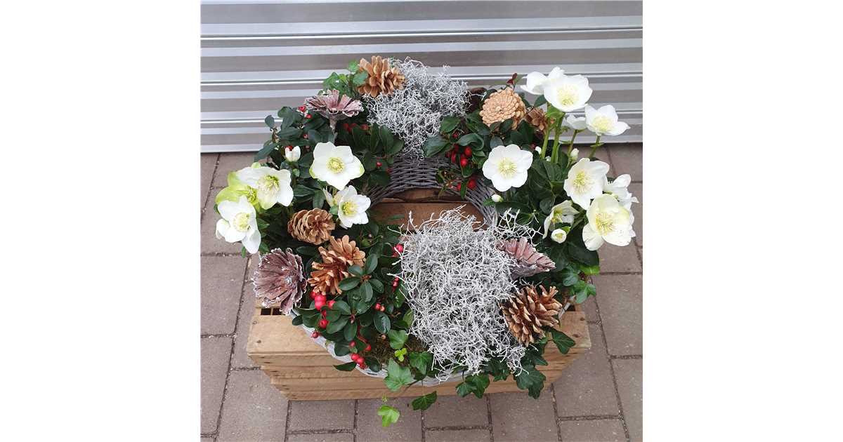 Christrosen mit winterlicher Dekoration, Bepflanzter Trauerkranz
