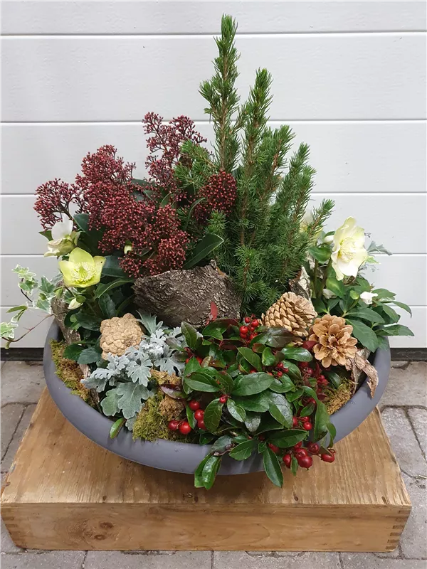 Blumen & - Grab Müller dekorierte Pflanzschale Beerdigung für Trauerschale, Garten und Winterlich