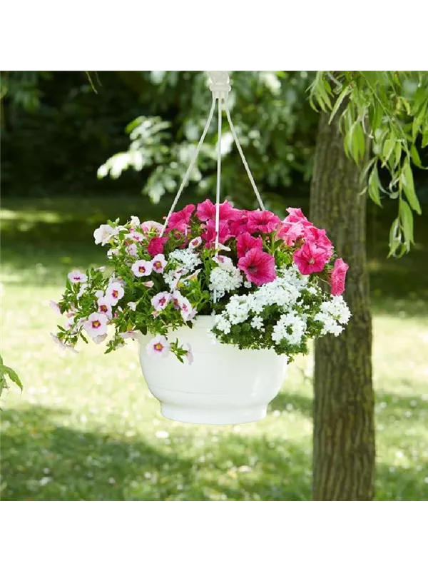 Blumenampel, Versch. bepflanzt, Größe ca. 25cm Müller Blumen & Garten