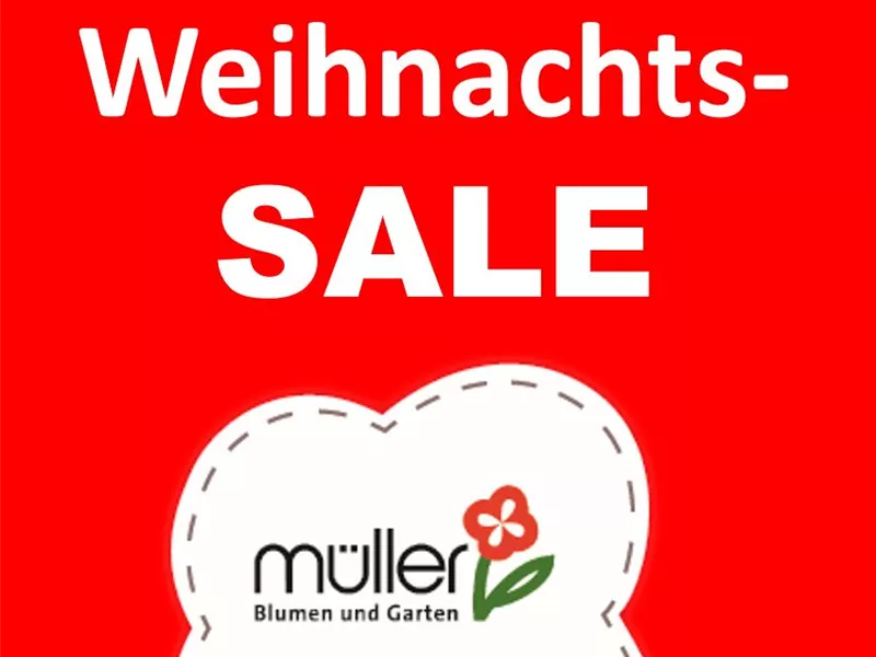 Großer Weihnachts-SALE