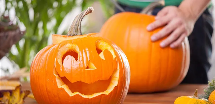 Halloween Kürbis vorbereiten