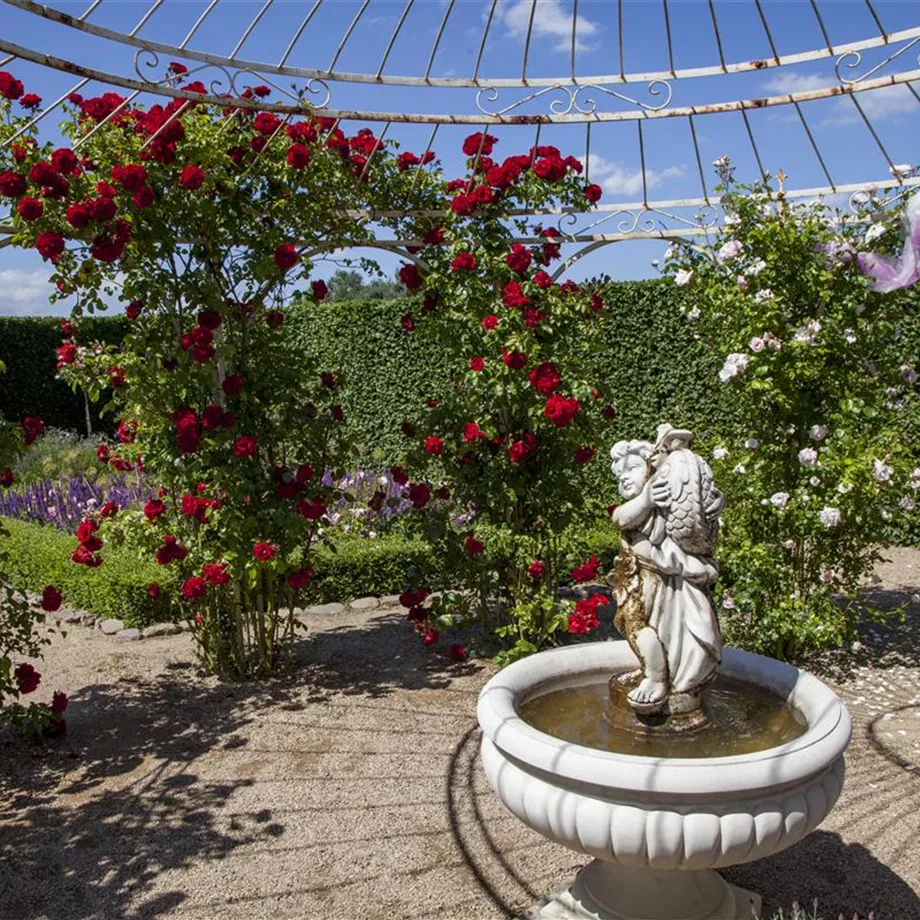 Der Barockgarten: royales Flair im eigenen Garten