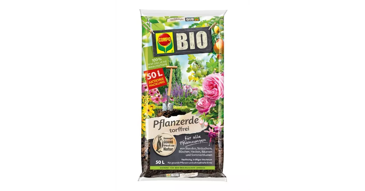 künstliche pflanzen 100 cm Lykke Künstliche Pflanze Fächerpalme 100cm - 59,90 EUR