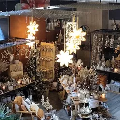 20231117_174603 x.jpg