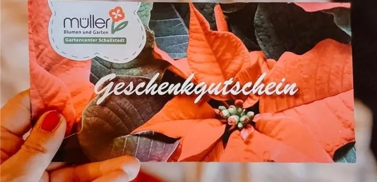 Gutscheinxmas.JPG