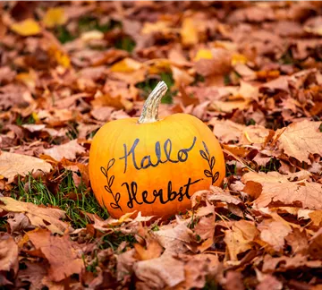 Herbst - Kürbis im Laub