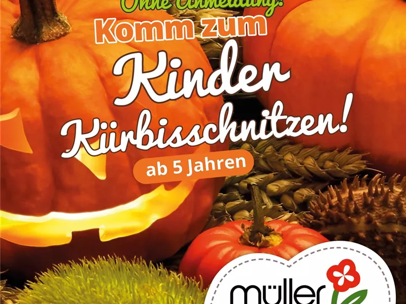 Kürbis-Schnitzen für Kinder