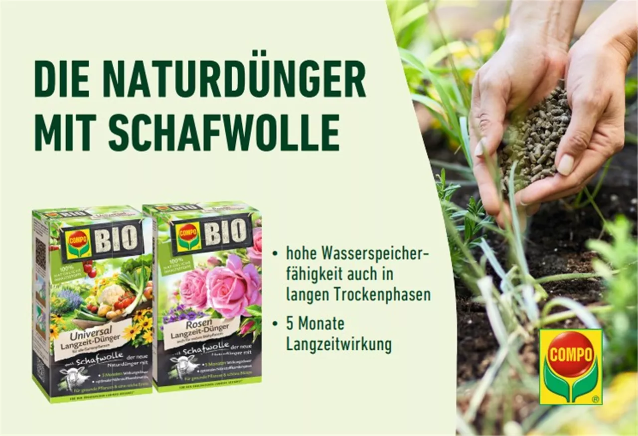 Garten-Beratungstag