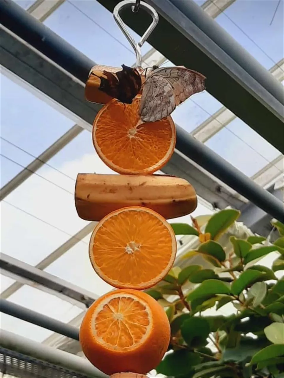 DIY Futterstange basteln