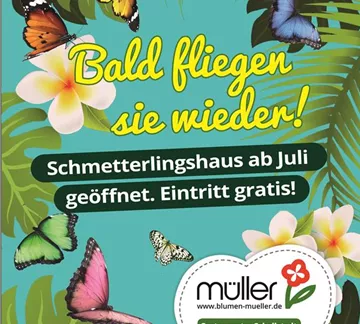 Whatsapp Schmetterlingshaus.jpg