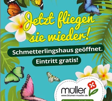 Whatsapp Schmetterlingshaus_Jetzt fliegen sie wieder.jpg