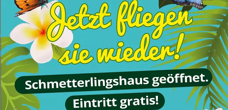 Whatsapp Schmetterlingshaus_Jetzt fliegen sie wieder.jpg