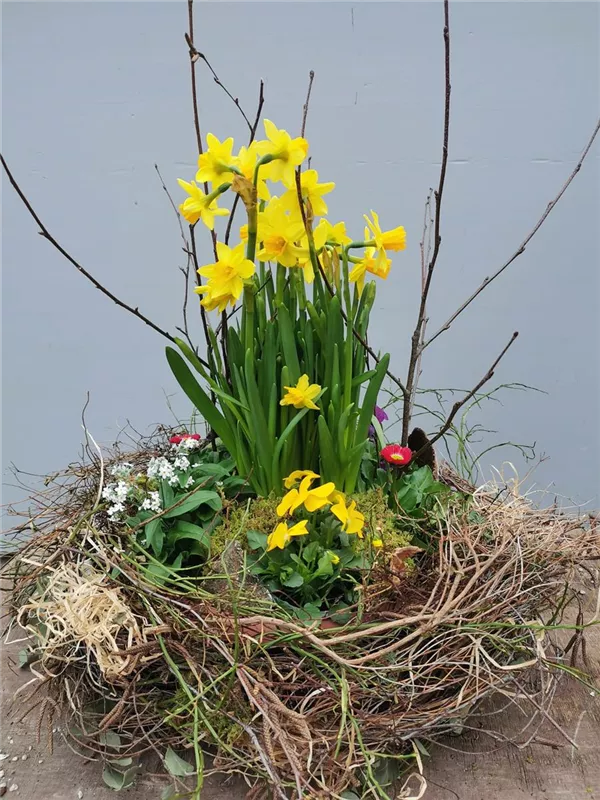 Ticket für den 21.03.2026