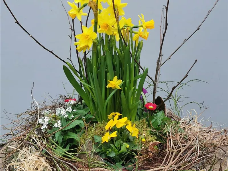 Workshop "Floristik im Frühling"