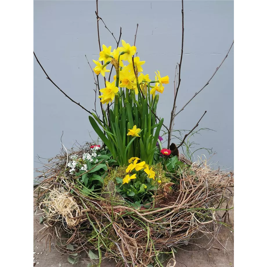 Workshop "Floristik im Frühling" 