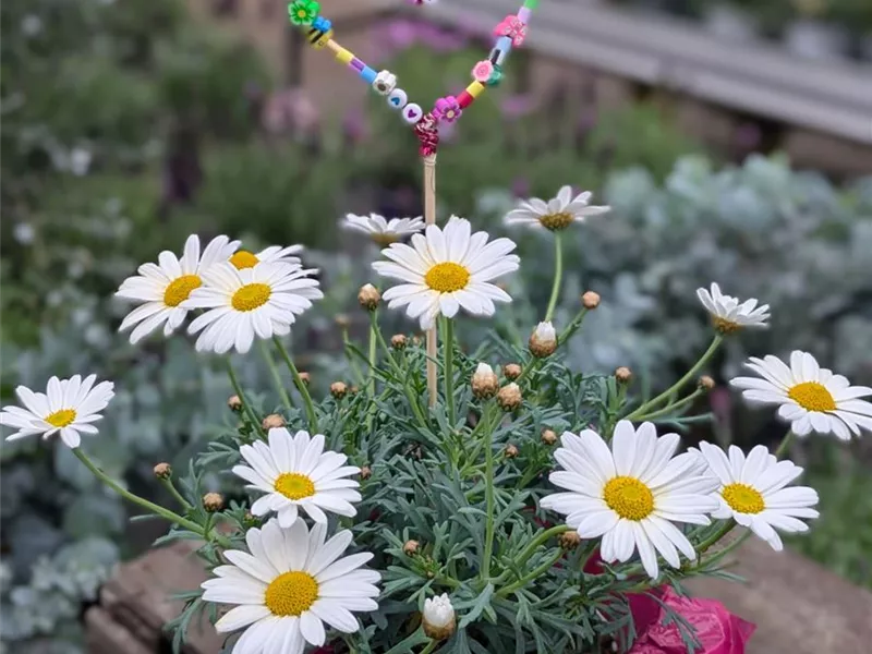 Kinderbasteln zum Muttertag